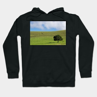 one lone tree Hoodie